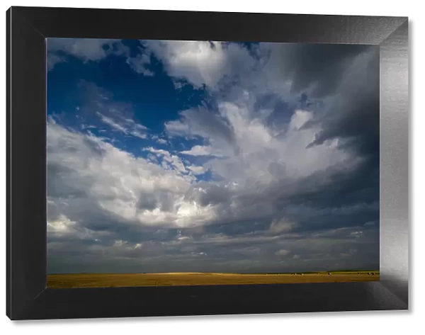 Summer morning massive cloud formations over wheat fields on South Dakota prairie, USA