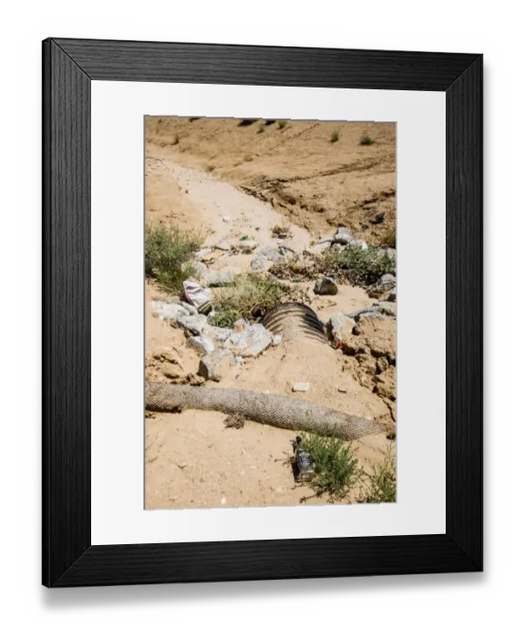 Framed Print : Tributary to Mojave River, erosion control along banks of Arroyo during Drought Spotlight number 3, Route 66, Victorville, Southern California, USA Framed Print : Tributary to Mojave River, erosion control along banks of Arroyo during Drought Spotlight number 3, Route 66, Victorville, Southern California, USA