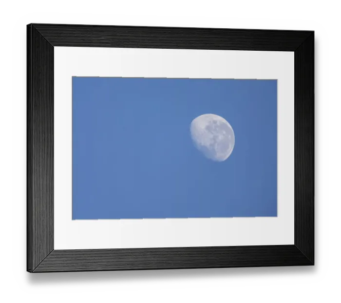 Framed Print : The moon in the blue sky - Kruger National Park South Africa Framed Print : The moon in the blue sky - Kruger National Park South Africa