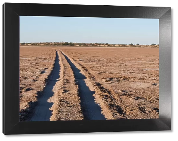 Vehicle tracks across a pan in the Kalahari. Stampriet District, Namibia