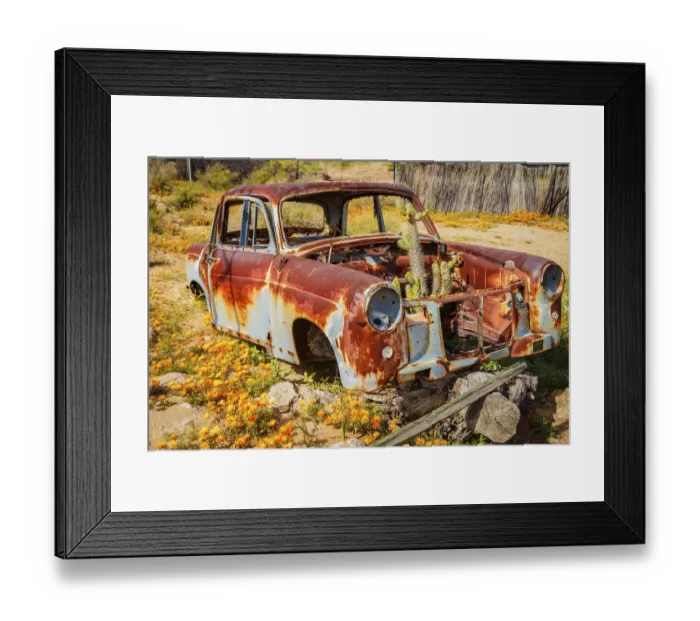 Framed Print : Color, Colour, Day, Full length, horizontal, Landscape, Namaqualand, no people, Northern Framed Print : Color, Colour, Day, Full length, horizontal, Landscape, Namaqualand, no people, Northern