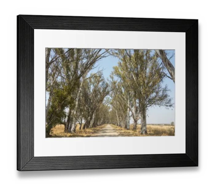 Framed Print : Color Image, Colour Image, Photography, No People, Horizontal, Outdoors, Day, Diminishing Framed Print : Color Image, Colour Image, Photography, No People, Horizontal, Outdoors, Day, Diminishing