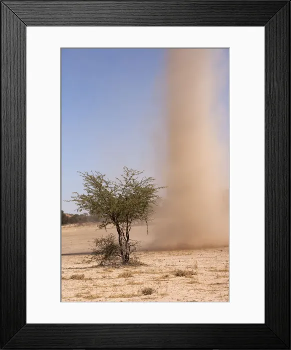 Framed Print : Dust devil in the Kgalagadi Transfrontier Park, Kalahari, South Africa Framed Print : Dust devil in the Kgalagadi Transfrontier Park, Kalahari, South Africa