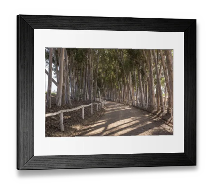 Framed Print : Road, Tulbagh, Western Cape, South Africa, Day, Horizontal, No People, Colour image Framed Print : Road, Tulbagh, Western Cape, South Africa, Day, Horizontal, No People, Colour image