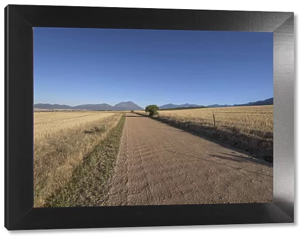 Road, Tulbagh, Western Cape, South Africa, Day, Morning, Horizontal, No People, Colour image