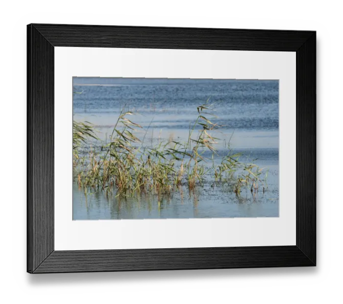 Framed Print : Photography, colour image, color image, day, horizontal, outdoors, outdoor, africa Framed Print : Photography, colour image, color image, day, horizontal, outdoors, outdoor, africa