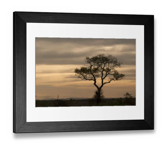 Framed Print : Photography, colour image, color image, day, outdoor, horizontal, africa, african Framed Print : Photography, colour image, color image, day, outdoor, horizontal, africa, african