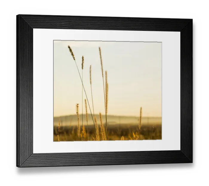 Framed Print : Colour Image, Color Image, Photography, Vertical, No people, Day, Surface Level, Landscape Framed Print : Colour Image, Color Image, Photography, Vertical, No people, Day, Surface Level, Landscape