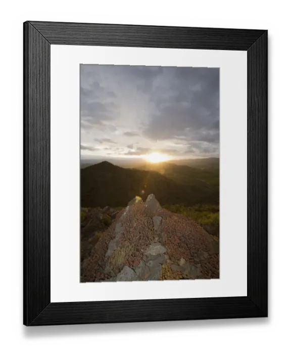 Framed Print : Color Image, Photography, No People, Vertical, Outdoors, Sunset, Lens Flare, Moody Sky Framed Print : Color Image, Photography, No People, Vertical, Outdoors, Sunset, Lens Flare, Moody Sky