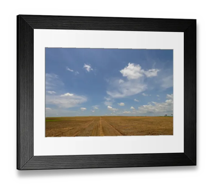 Framed Print : Color Image, Photography, No People, Horizontal, Outdoors, Day, Copy Space, Agriculture