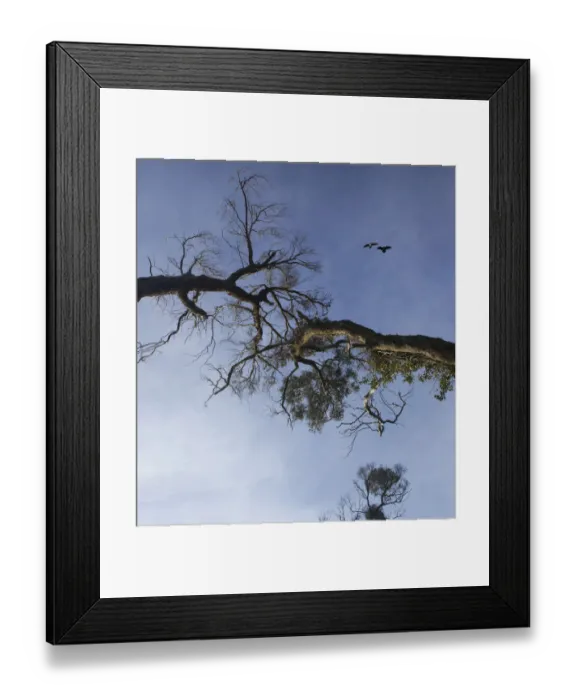 Framed Print : Colour image, Color image, Photography, Vertical, No people, Blue sky, Landscape Framed Print : Colour image, Color image, Photography, Vertical, No people, Blue sky, Landscape