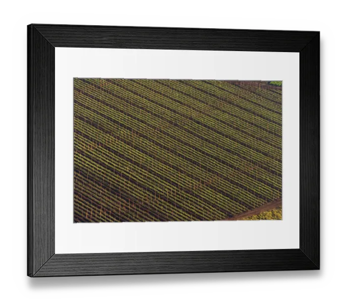 Framed Print : Color Image, Photography, No People, Horizontal, Outdoors, Day, Aerial View, Agriculture