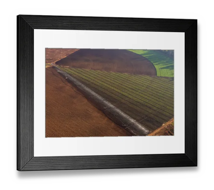 Framed Print : Color Image, Photography, No People, Horizontal, Outdoors, Day, Aerial View, Agriculture