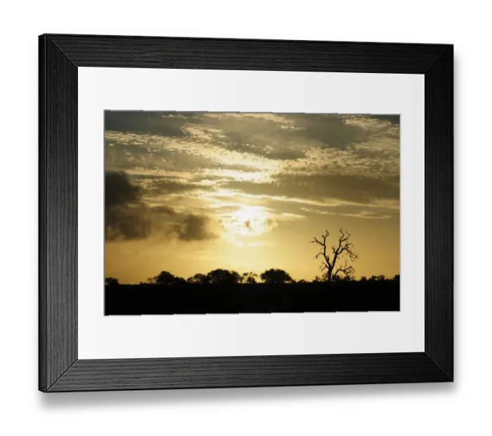 Framed Print : africa, african, branches, clouds, color image, colour image, copy space, day, dead Framed Print : africa, african, branches, clouds, color image, colour image, copy space, day, dead