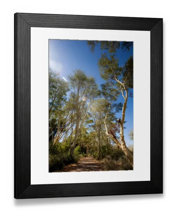 Framed Print : Color Image, Colour Image, Photography, Outdoors, Day, No People, Beauty In Nature
