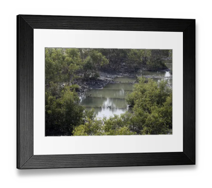 Framed Print : colour image, color image, photography, day, India, West Bengal, Sunderbans, outdoors Framed Print : colour image, color image, photography, day, India, West Bengal, Sunderbans, outdoors