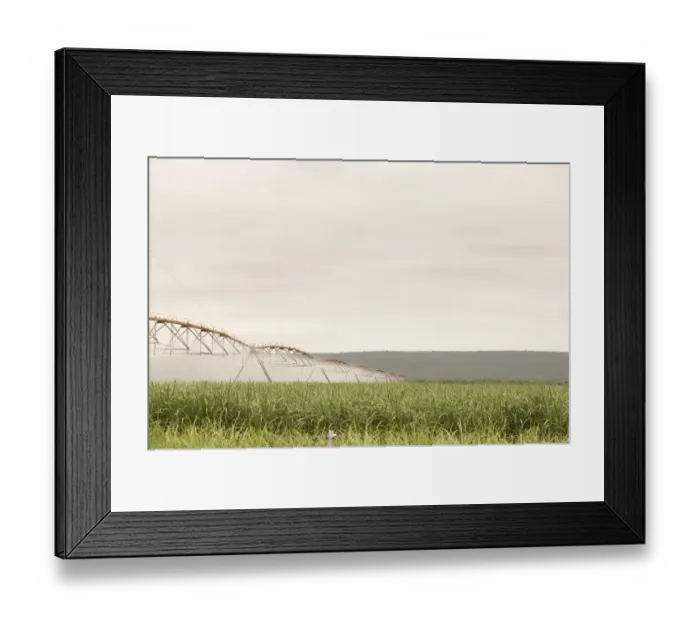 Framed Print : irrigation, agriculture, field, farm, green, farming, land, plant, spray, crop, ground Framed Print : irrigation, agriculture, field, farm, green, farming, land, plant, spray, crop, ground