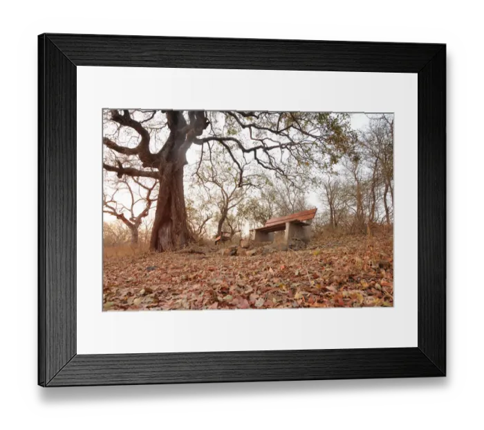 Framed Print : autumn, autumn leaves, autumn scenery, autumn tree, autumnal, beautiful, beauty, bench