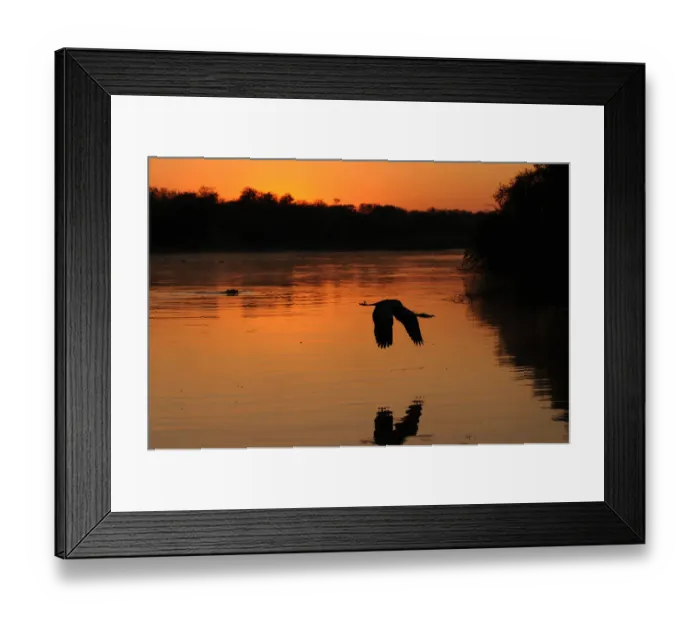 Framed Print : Moody sunrise with heron and hippo. Kruger National Park,s Africa