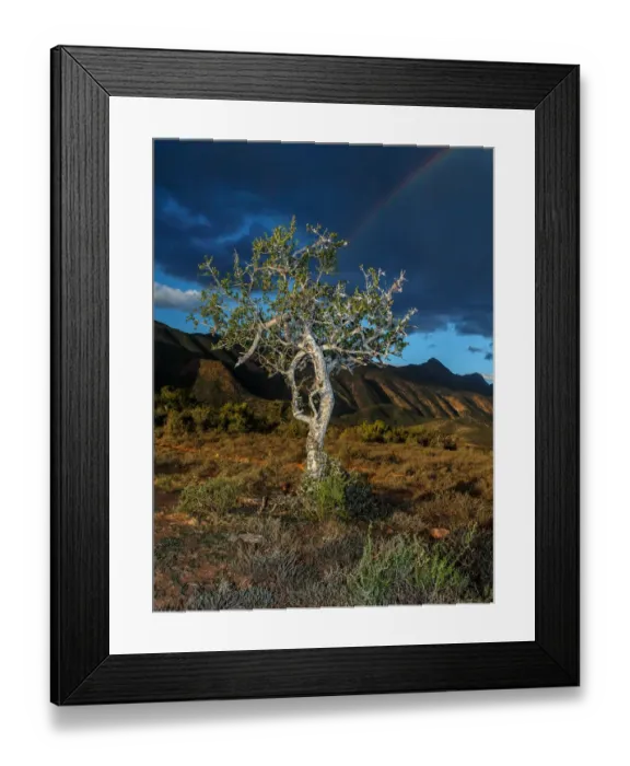 Framed Print : Baviaanskloof Mega Reserve, Beauty In Nature, Color Image, Day, Eastern Cape, Landscape
