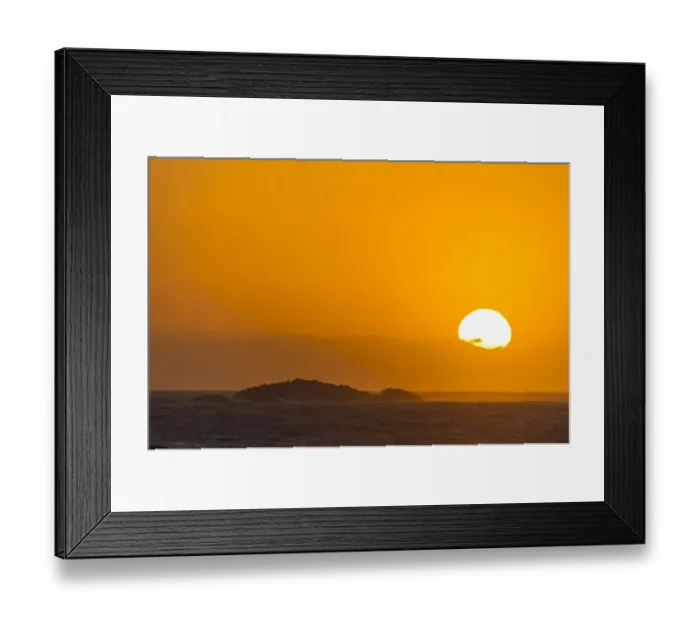 Framed Print : addo elephant national park, africa, algoa bay, beauty in nature, bird island, coastline