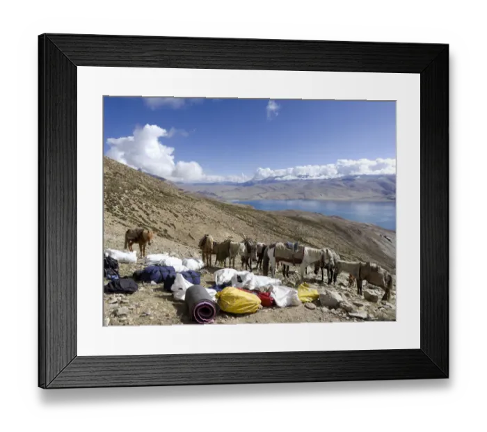 Framed Print : adventure, altitude, animals, arid climate, beauty in nature, blue sky, climbing Framed Print : adventure, altitude, animals, arid climate, beauty in nature, blue sky, climbing