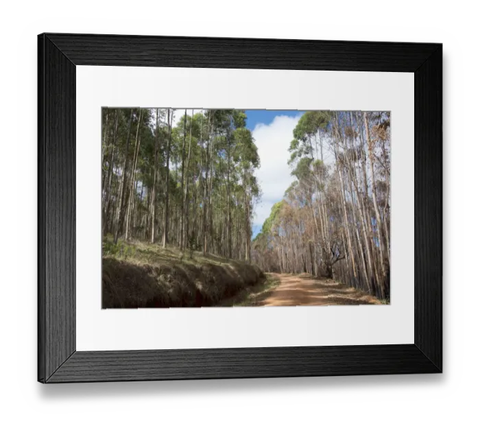 Framed Print : beauty in nature, color image, colour image, day, dirt road, distant, horizontal Framed Print : beauty in nature, color image, colour image, day, dirt road, distant, horizontal