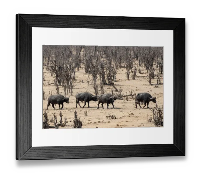 Framed Print : color image, colour image, photography, no people, horizontal, outdoors, day, side view Framed Print : color image, colour image, photography, no people, horizontal, outdoors, day, side view