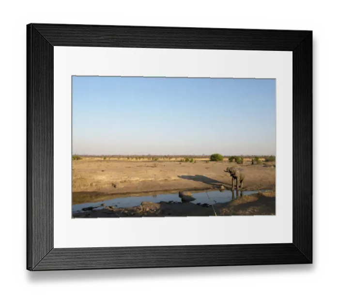 Framed Print : animal, animal themes, barren, beauty in nature, big toms pan, clear sky, color image