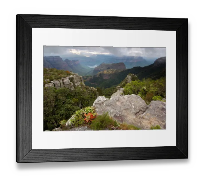 Framed Print : aloe, altitude, awe, beauty in nature, blyde river, blyde river nature reserve, canyon