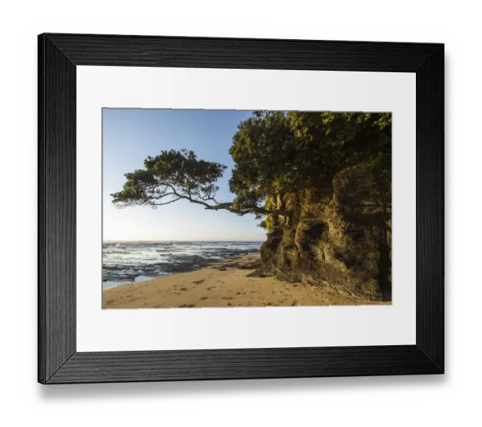 Framed Print : africa, coastal forest, coastline, color image, colour image, dawn, day, dwesa nature reserve Framed Print : africa, coastal forest, coastline, color image, colour image, dawn, day, dwesa nature reserve