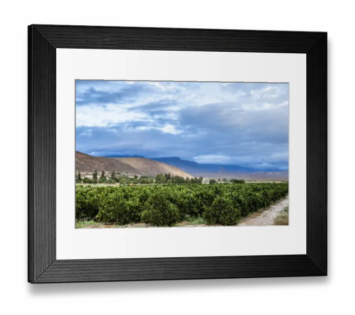 Framed Print : agriculture, beauty in nature, clanwilliam, cloud, color image, colour image, day Framed Print : agriculture, beauty in nature, clanwilliam, cloud, color image, colour image, day
