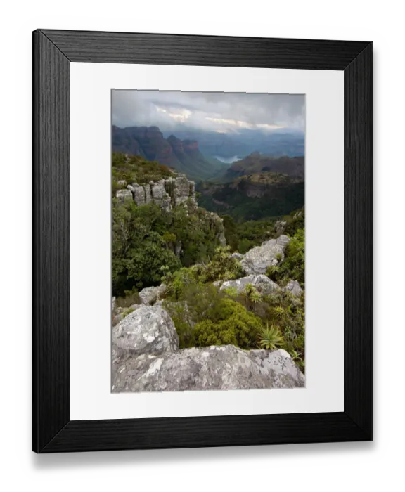 Framed Print : aloe, altitude, awe, beauty in nature, blyde river, blyde river nature reserve, canyon Framed Print : aloe, altitude, awe, beauty in nature, blyde river, blyde river nature reserve, canyon