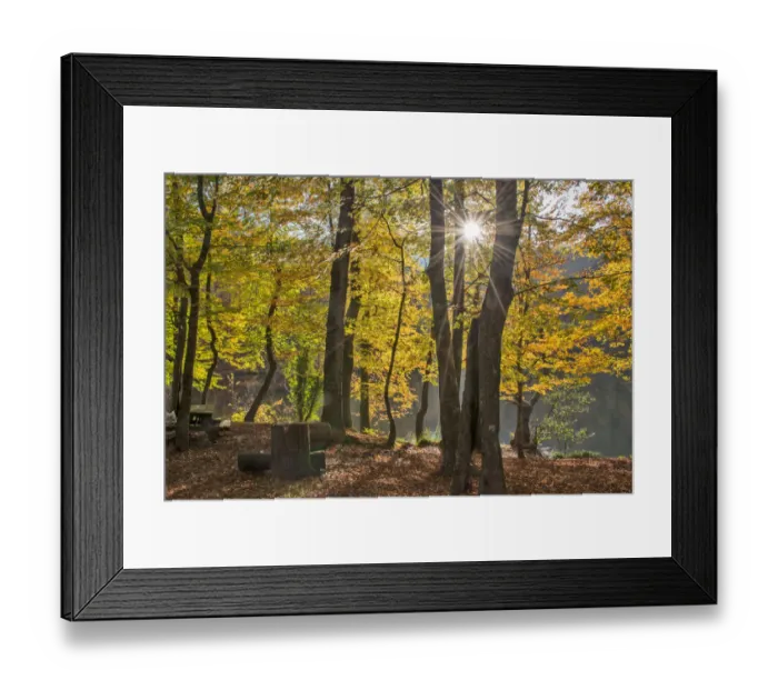 Framed Print : asia, autumn, autumn colors, beauty in nature, bolu, color image, colour image, eurasia