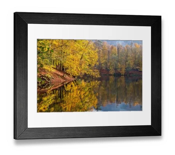 Framed Print : asia, autumn, autumn colors, beauty in nature, bolu, color image, colour image, eurasia Framed Print : asia, autumn, autumn colors, beauty in nature, bolu, color image, colour image, eurasia