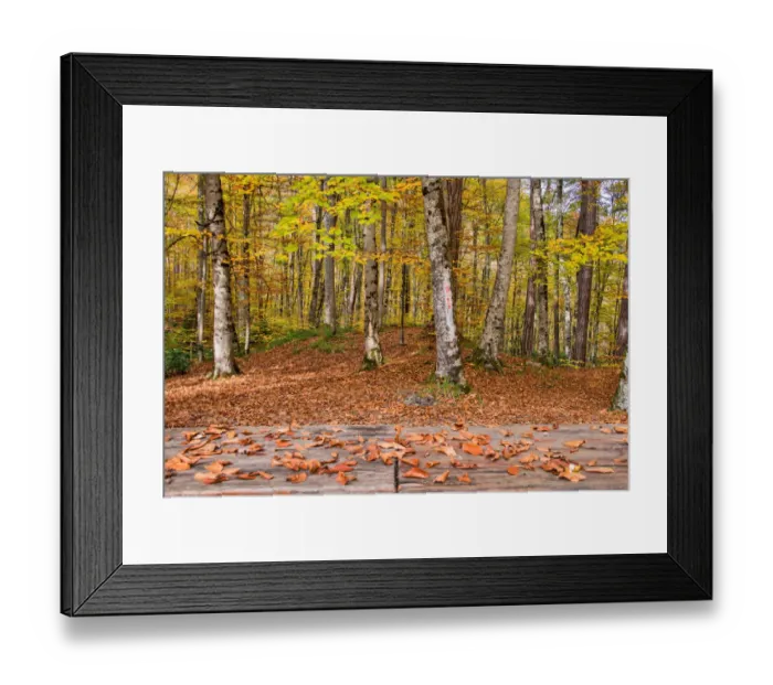 Framed Print : asia, autumn, autumn colors, beauty in nature, bolu, color image, colour image, eurasian