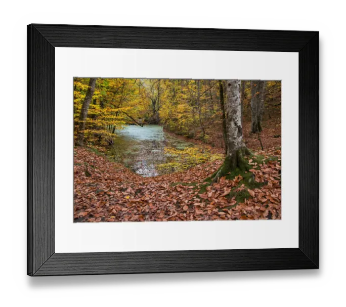 Framed Print : asia, autumn, autumn colors, beauty in nature, bolu, color image, colour image, eurasia Framed Print : asia, autumn, autumn colors, beauty in nature, bolu, color image, colour image, eurasia
