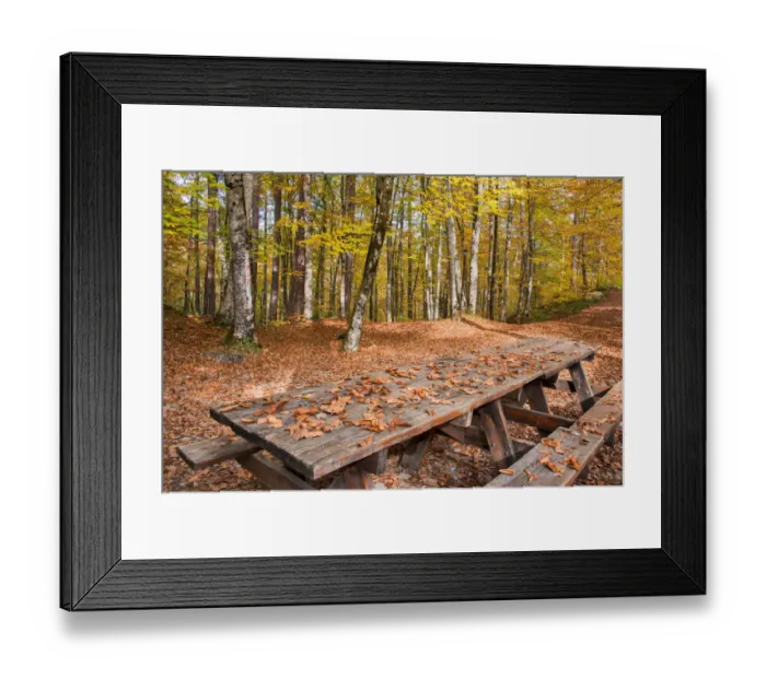 Framed Print : asia, autumn, autumn colors, beauty in nature, bolu, color image, colour image, eurasia Framed Print : asia, autumn, autumn colors, beauty in nature, bolu, color image, colour image, eurasia