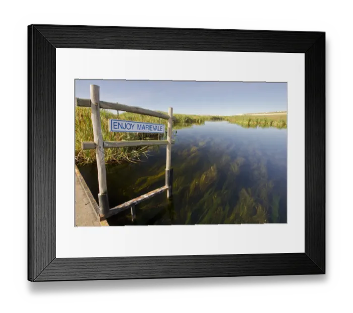 Framed Print : bird area, color image, day, gauteng, horizontal, landscape, marievale, marievale bird sanctuary Framed Print : bird area, color image, day, gauteng, horizontal, landscape, marievale, marievale bird sanctuary