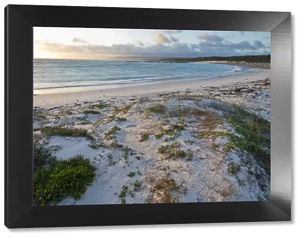 agulhas national park, beach, coastline, color image, day, dusk, horizontal, landscape