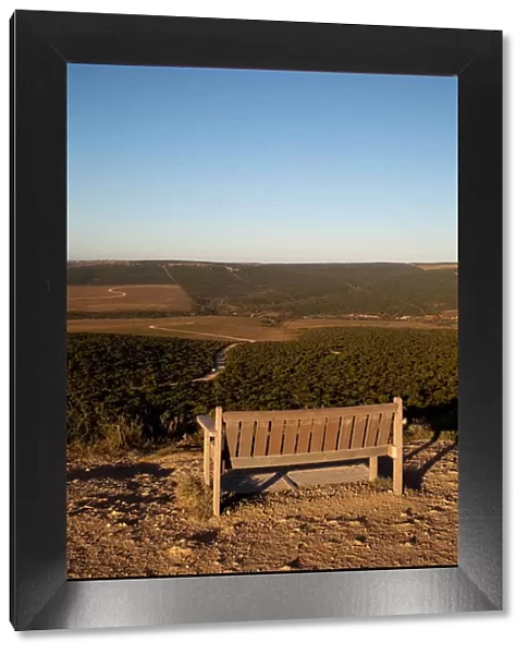 Bench on view terrace, Addo National Park, Eastern Cape, South Africa