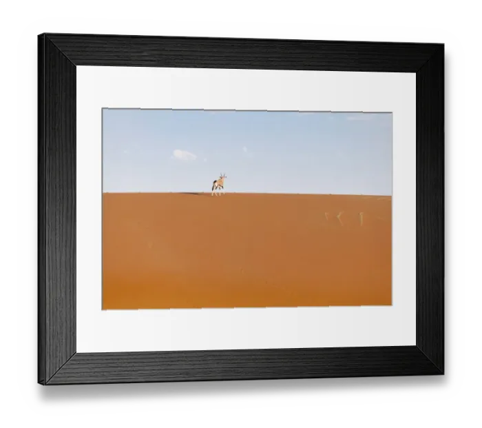 Framed Print : animal, animal themes, antelope, barren, clear sky, color image, colour image, copy space