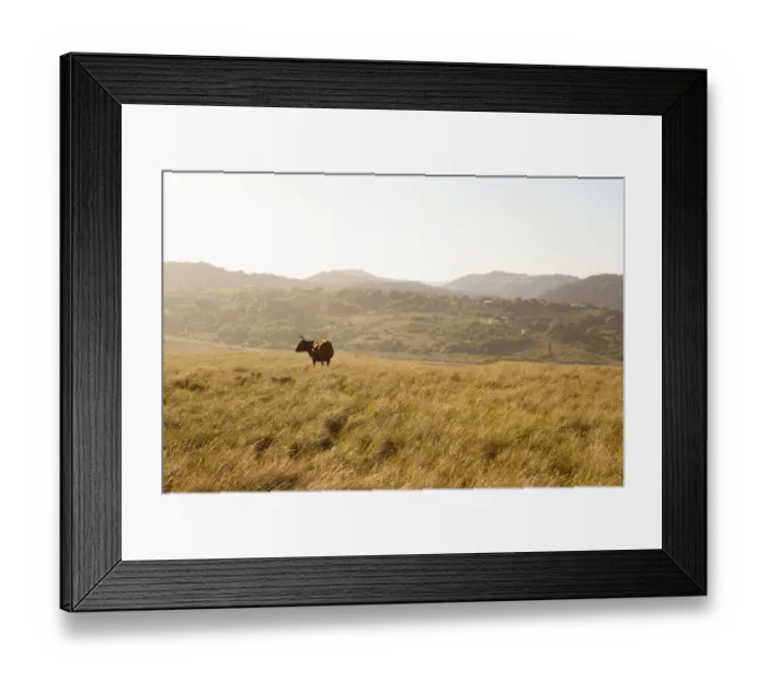 Framed Print : agriculture, animal themes, beauty in nature, brown, color image, colour image, copy space