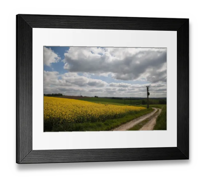 Framed Print : Yellow fields along country road, Dusseldorf, Nordrhein-Westfalen, Germany Framed Print : Yellow fields along country road, Dusseldorf, Nordrhein-Westfalen, Germany