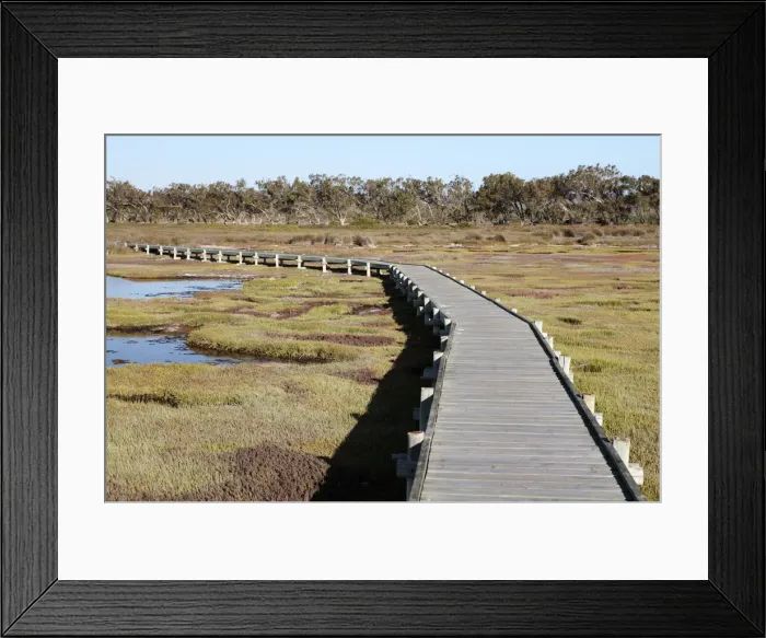 Framed Print : boardwalk, color image, colour image, day, daytime, forest, horizontal, landscape Framed Print : boardwalk, color image, colour image, day, daytime, forest, horizontal, landscape