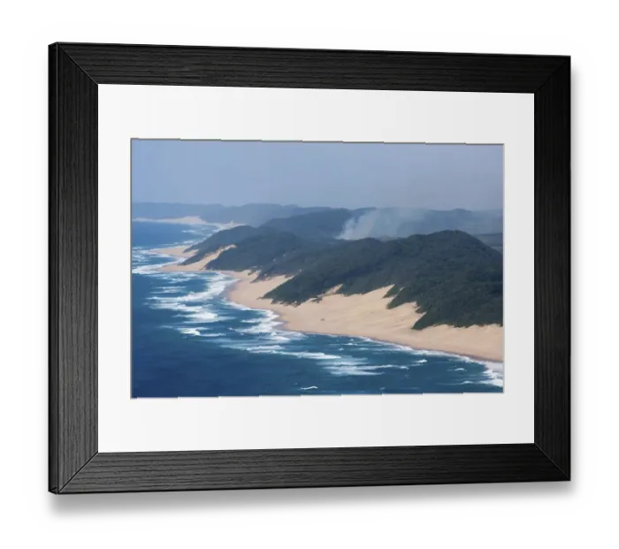 Framed Print : aerial view, beach, coastal forest, color image, colour image, copy space, day, dune Framed Print : aerial view, beach, coastal forest, color image, colour image, copy space, day, dune