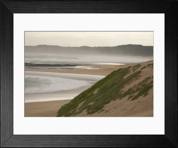 Framed Print : beach, coastal forest, color image, colour image, copy space, day, dune, eastern cape Framed Print : beach, coastal forest, color image, colour image, copy space, day, dune, eastern cape