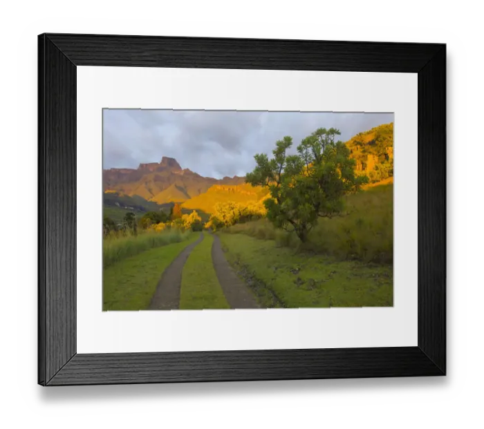 Framed Print : beauty in nature, color image, colour image, day, daytime, dirt track, drakensberg amphitheatre Framed Print : beauty in nature, color image, colour image, day, daytime, dirt track, drakensberg amphitheatre