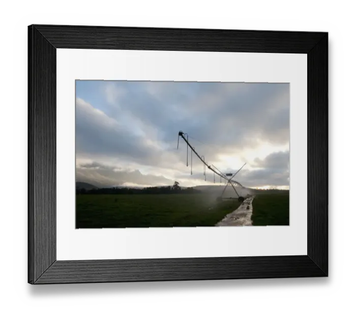 Framed Print : agriculture, cloud, color image, colour image, dawn, day, daylight, daytime, field