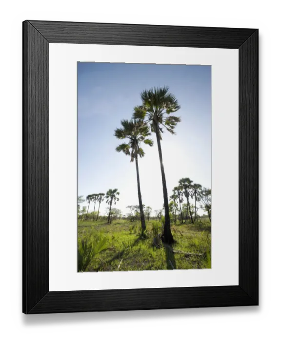 Framed Print : clear sky, color image, colour image, day, daytime, exotic, grass, landscape, lochinvar Framed Print : clear sky, color image, colour image, day, daytime, exotic, grass, landscape, lochinvar